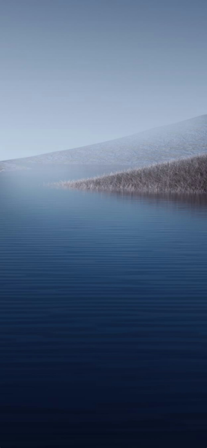 Wallpaper